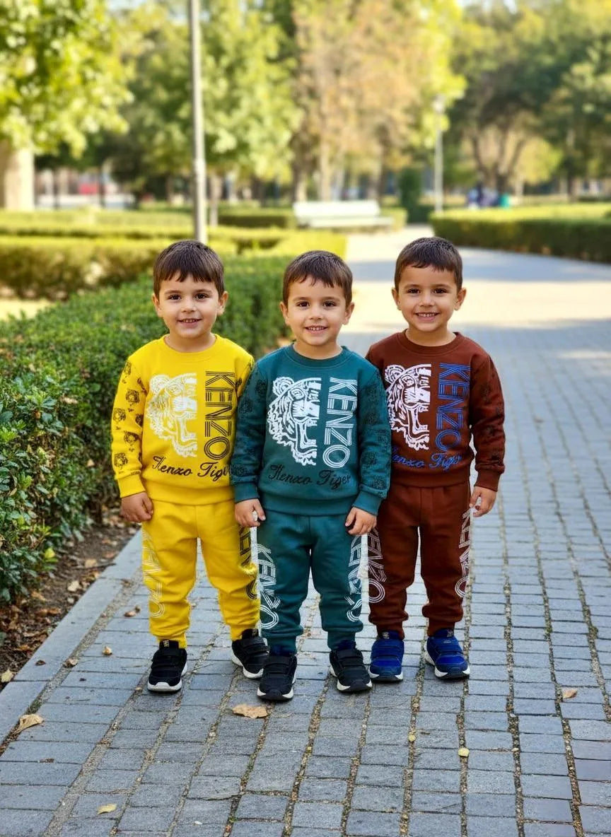 Cozy 2 pcs printed fleece track suit for girls and boys